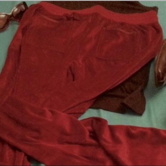BCBGMaxAzria Retro Velour Pants with Bling - Picture 8 of 10